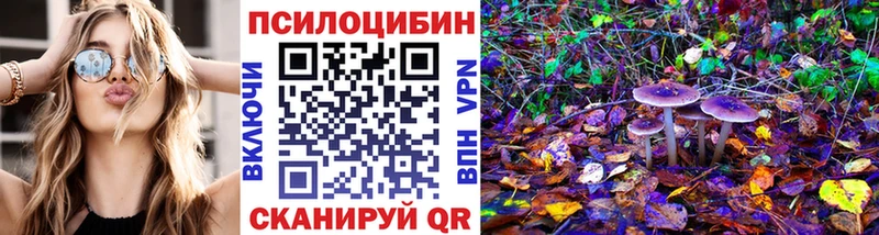 Псилоцибиновые грибы MAGIC MUSHROOMS  Ядрин 